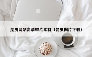 老河口昆虫网站高清照片素材（昆虫图片下载）